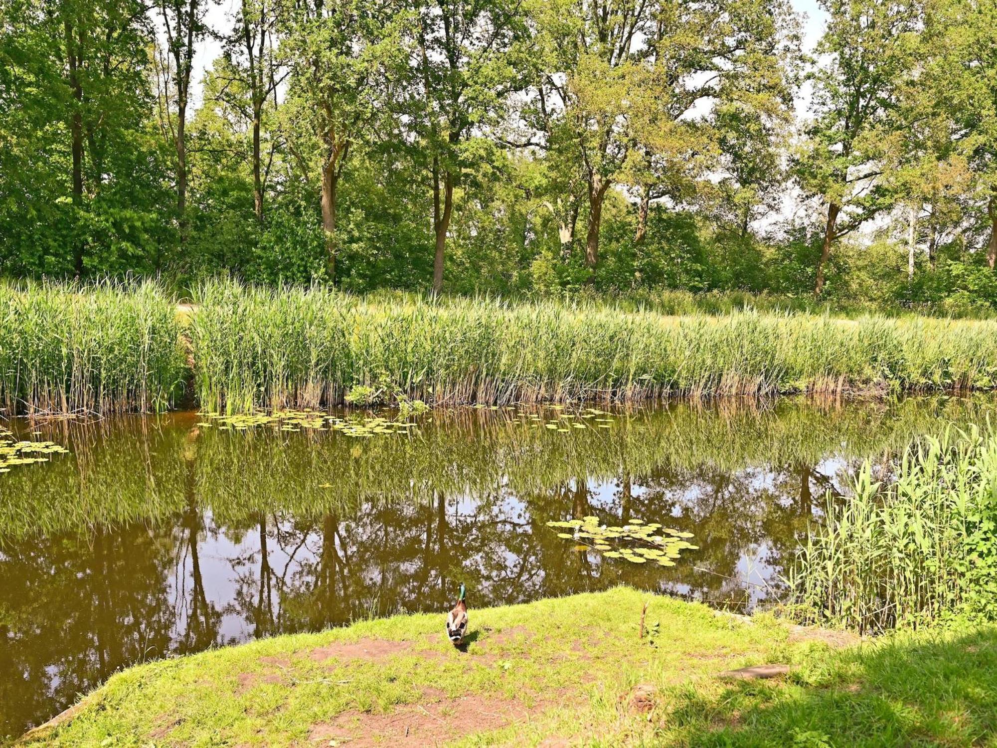 Chalet With Gorgeous View Of The Natural Surroundings Weerselo 외부 사진